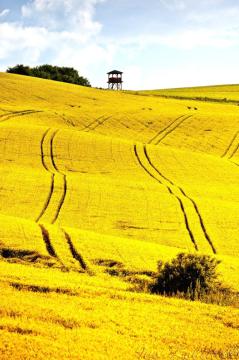 Rozhľadňa nad dedinou Rozhľadňa nad dedinou